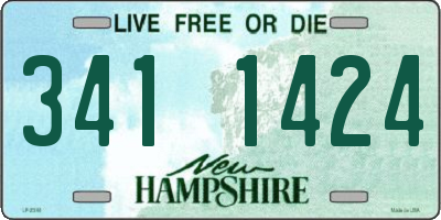 NH license plate 3411424