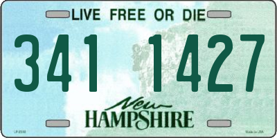 NH license plate 3411427