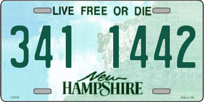 NH license plate 3411442