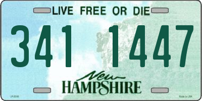 NH license plate 3411447