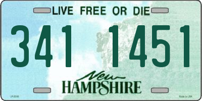 NH license plate 3411451