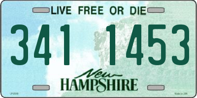 NH license plate 3411453