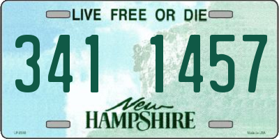 NH license plate 3411457