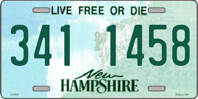 NH license plate 3411458