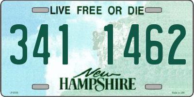 NH license plate 3411462