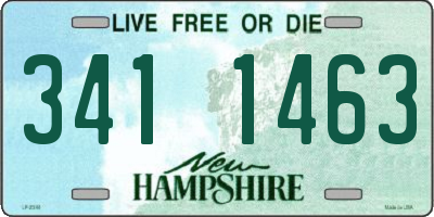 NH license plate 3411463