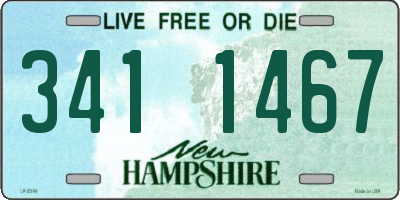 NH license plate 3411467