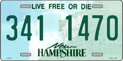 NH license plate 3411470