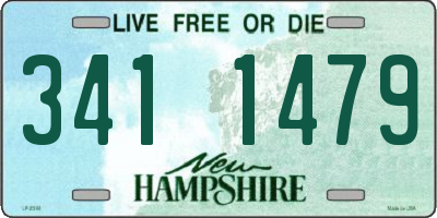 NH license plate 3411479