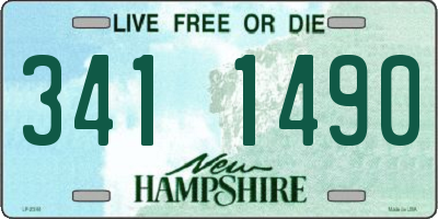 NH license plate 3411490