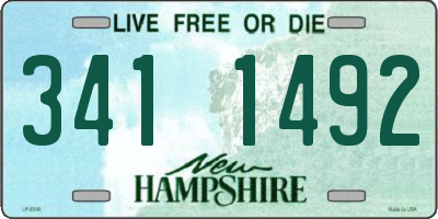 NH license plate 3411492