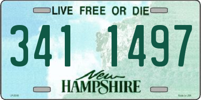 NH license plate 3411497