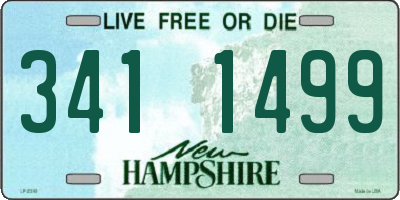 NH license plate 3411499