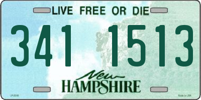 NH license plate 3411513