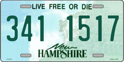 NH license plate 3411517