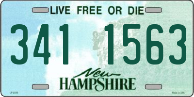 NH license plate 3411563