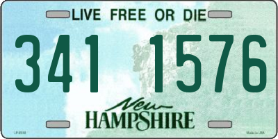 NH license plate 3411576