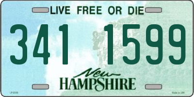 NH license plate 3411599
