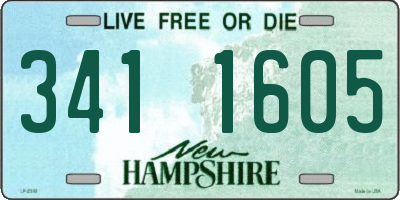 NH license plate 3411605