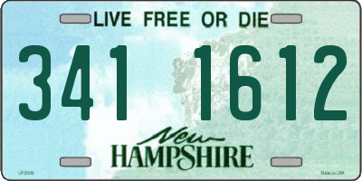 NH license plate 3411612