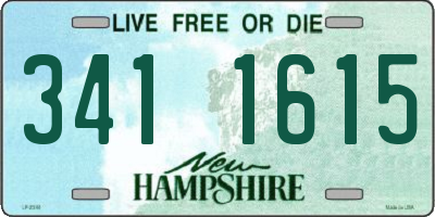 NH license plate 3411615