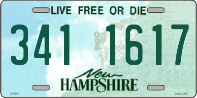 NH license plate 3411617