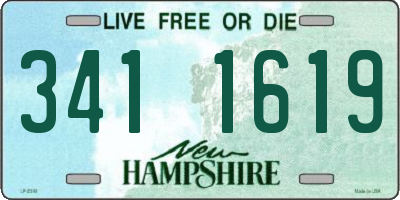 NH license plate 3411619
