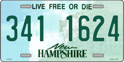 NH license plate 3411624