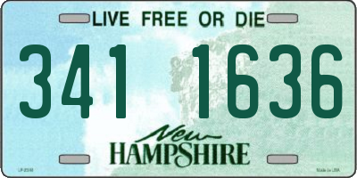 NH license plate 3411636