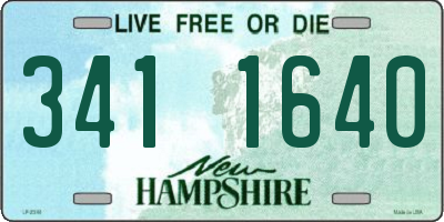 NH license plate 3411640