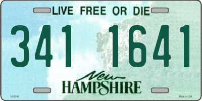 NH license plate 3411641
