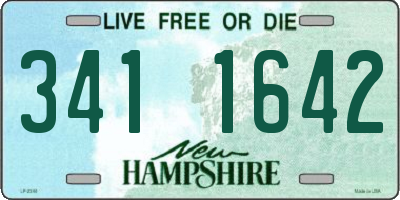 NH license plate 3411642