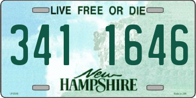 NH license plate 3411646