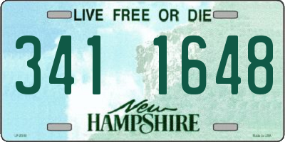 NH license plate 3411648