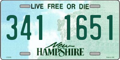 NH license plate 3411651