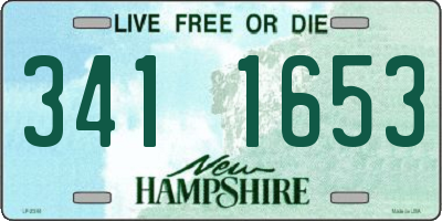 NH license plate 3411653