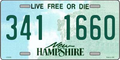 NH license plate 3411660
