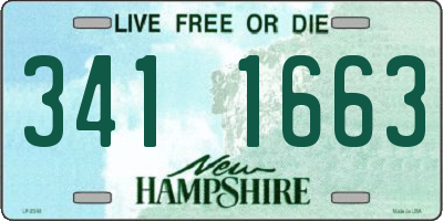NH license plate 3411663