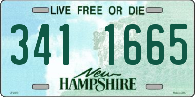 NH license plate 3411665