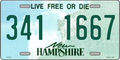 NH license plate 3411667