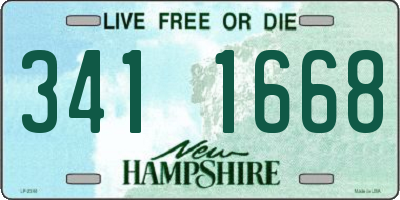 NH license plate 3411668