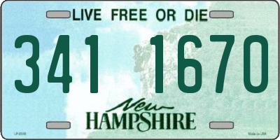 NH license plate 3411670