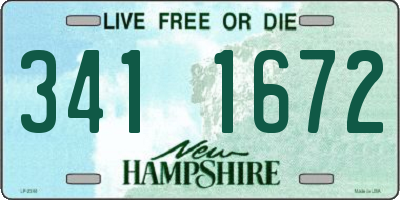 NH license plate 3411672