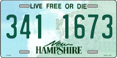 NH license plate 3411673