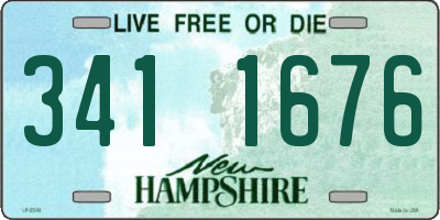 NH license plate 3411676