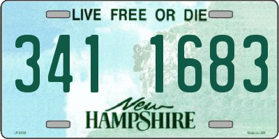 NH license plate 3411683