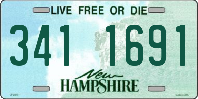 NH license plate 3411691