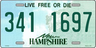 NH license plate 3411697