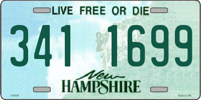NH license plate 3411699
