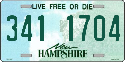 NH license plate 3411704